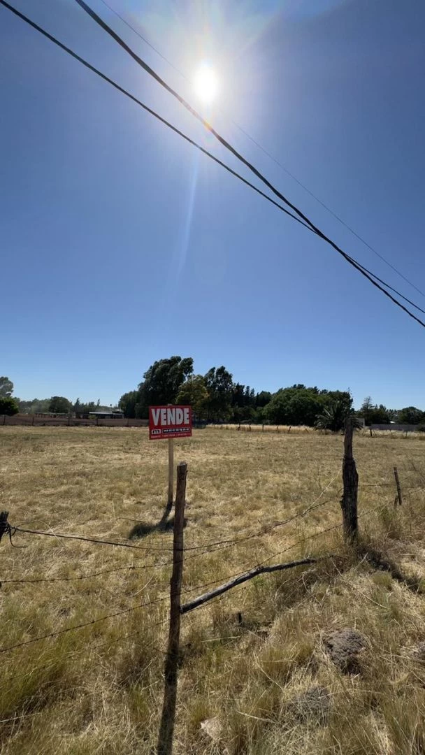 Macagno Inmobiliaria