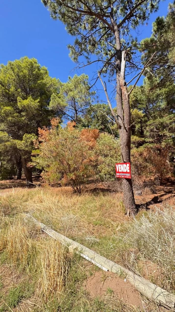 Macagno Inmobiliaria