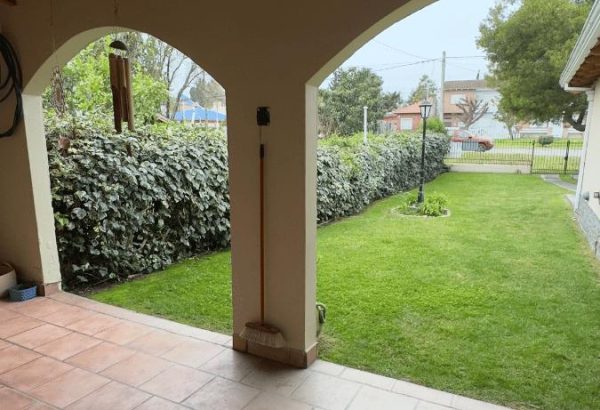 Diseño sin título (23)