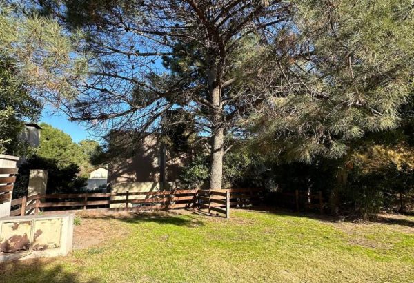 photo_2024-08-15_15-23-57 (2)