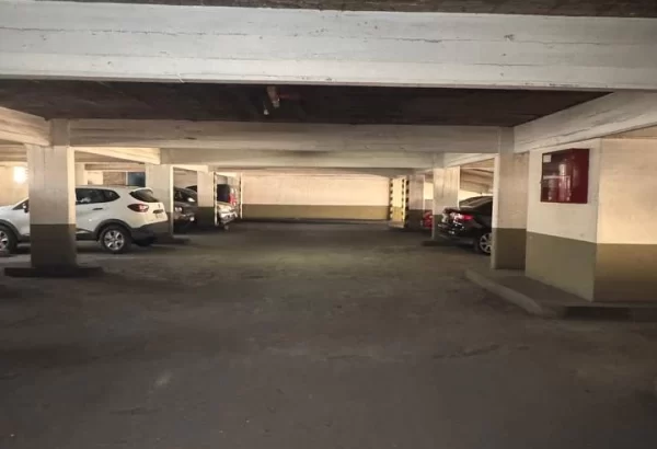 photo_2025-11-12_13-05-29