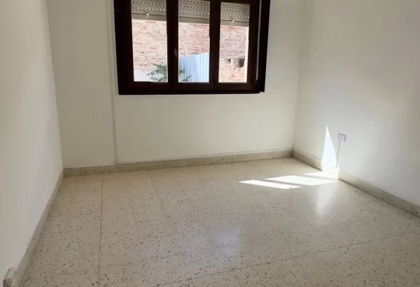 photo_2025-12-12_15-33-04