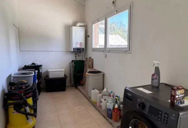 photo_2026-01-15_12-39-11