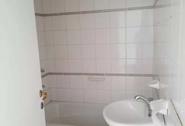 photo_2026-02-03_12-24-48