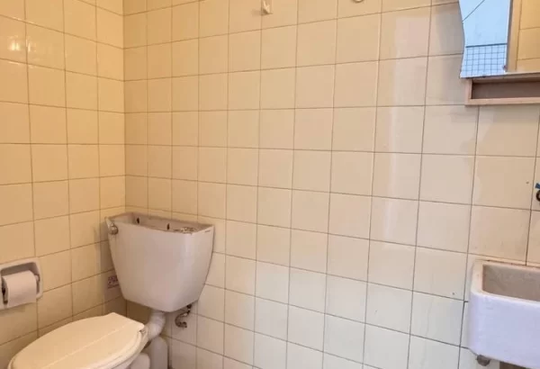 photo_2026-02-09_13-17-50