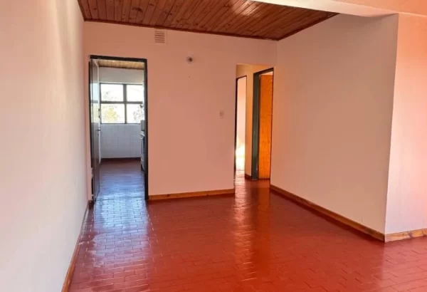 photo_2026-03-05_11-29-19