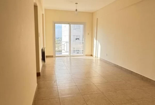 photo_2026-03-10_12-49-36