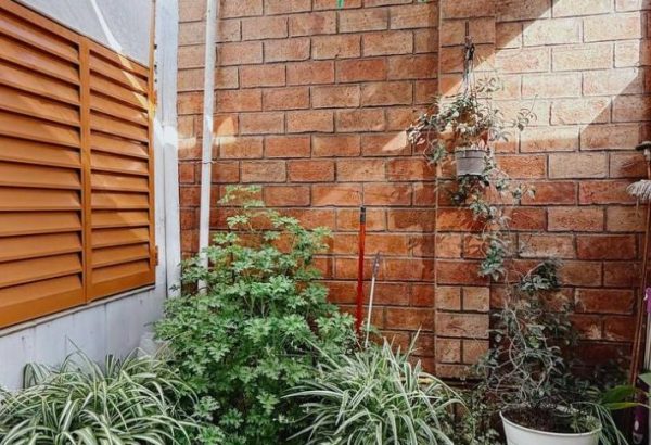 photo_5030852046466690586_y