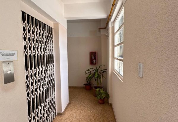 photo_5143120743532442438_y